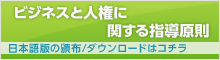 ビジネスと人権に関する指導原則